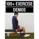 Knee Resilience