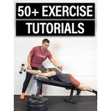 Neck & Thoracic Resilience