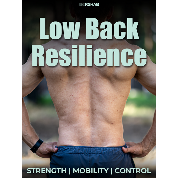 Low Back Resilience